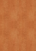 /album/dtd-materialy-vstavane-skrine/a64-javor-diamant-svetly-h1883-jpg/